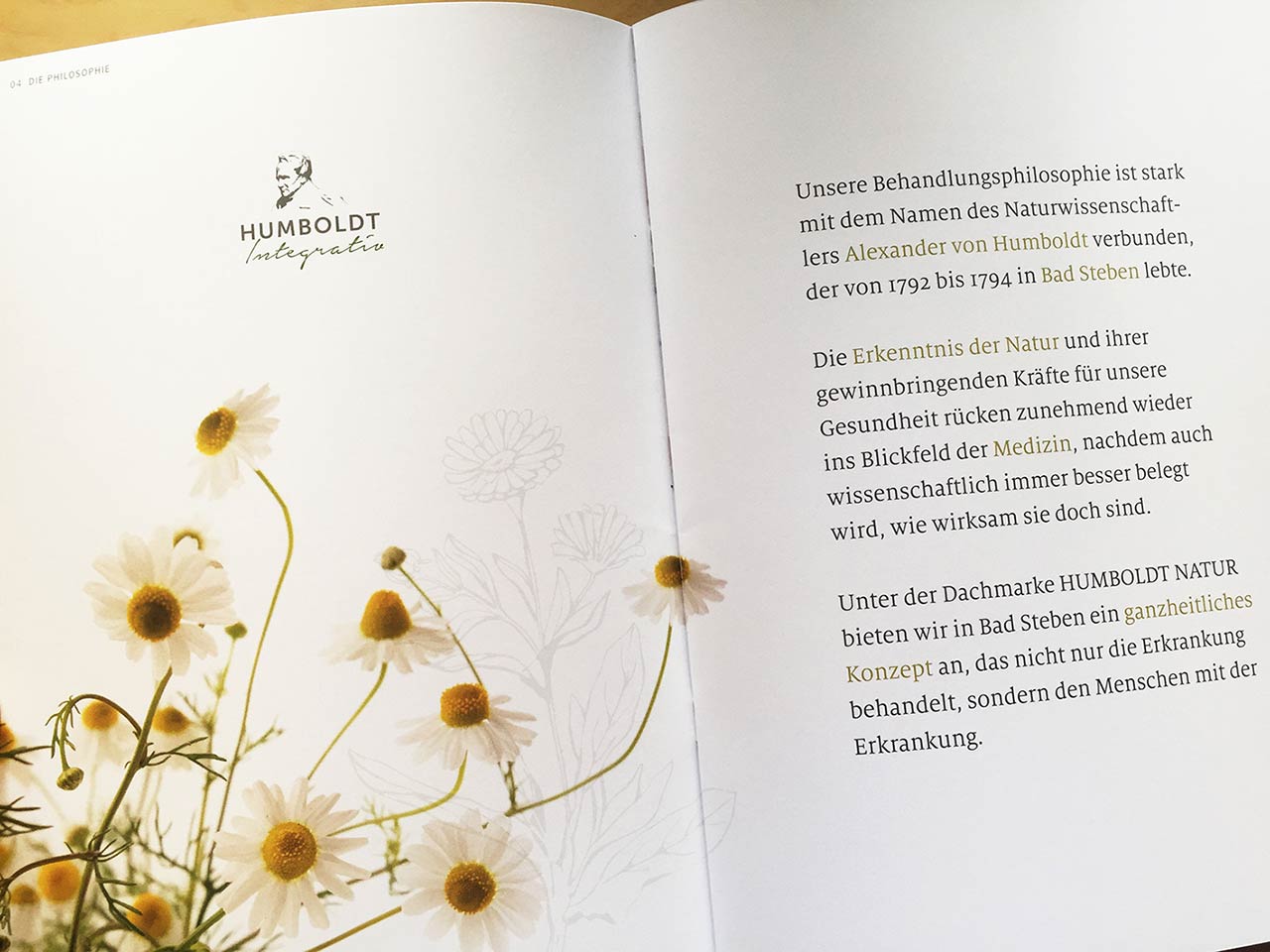 Humboldt Integrative Broschüre Humboldt becomes a brand