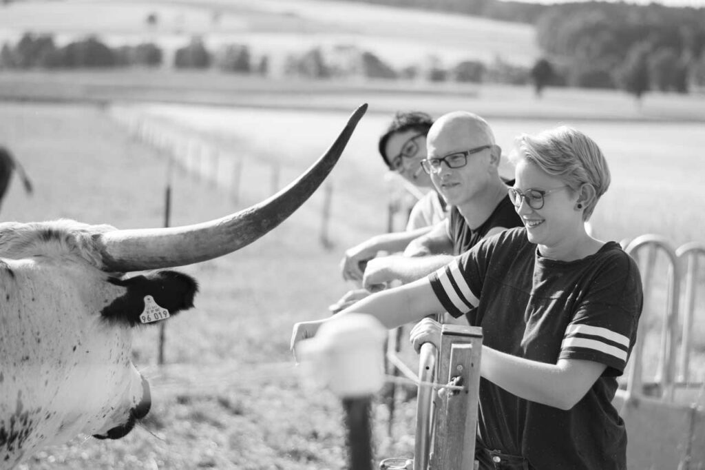 Countryside – Wundenbach Longhorns